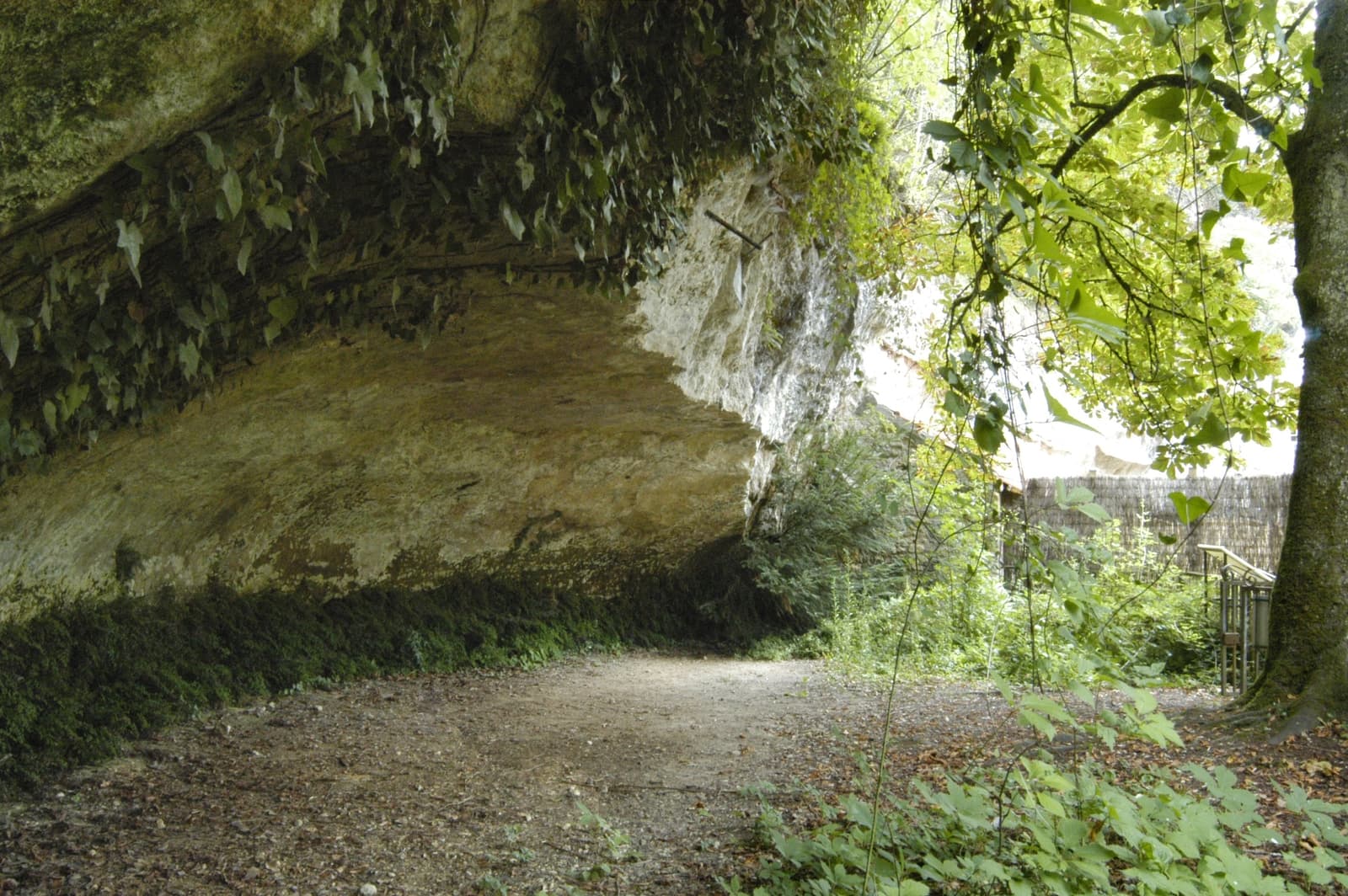 L'Abri de Cro-Magnon